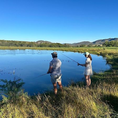 Swartberg Private Game Lodge 奥茨胡恩 外观 照片