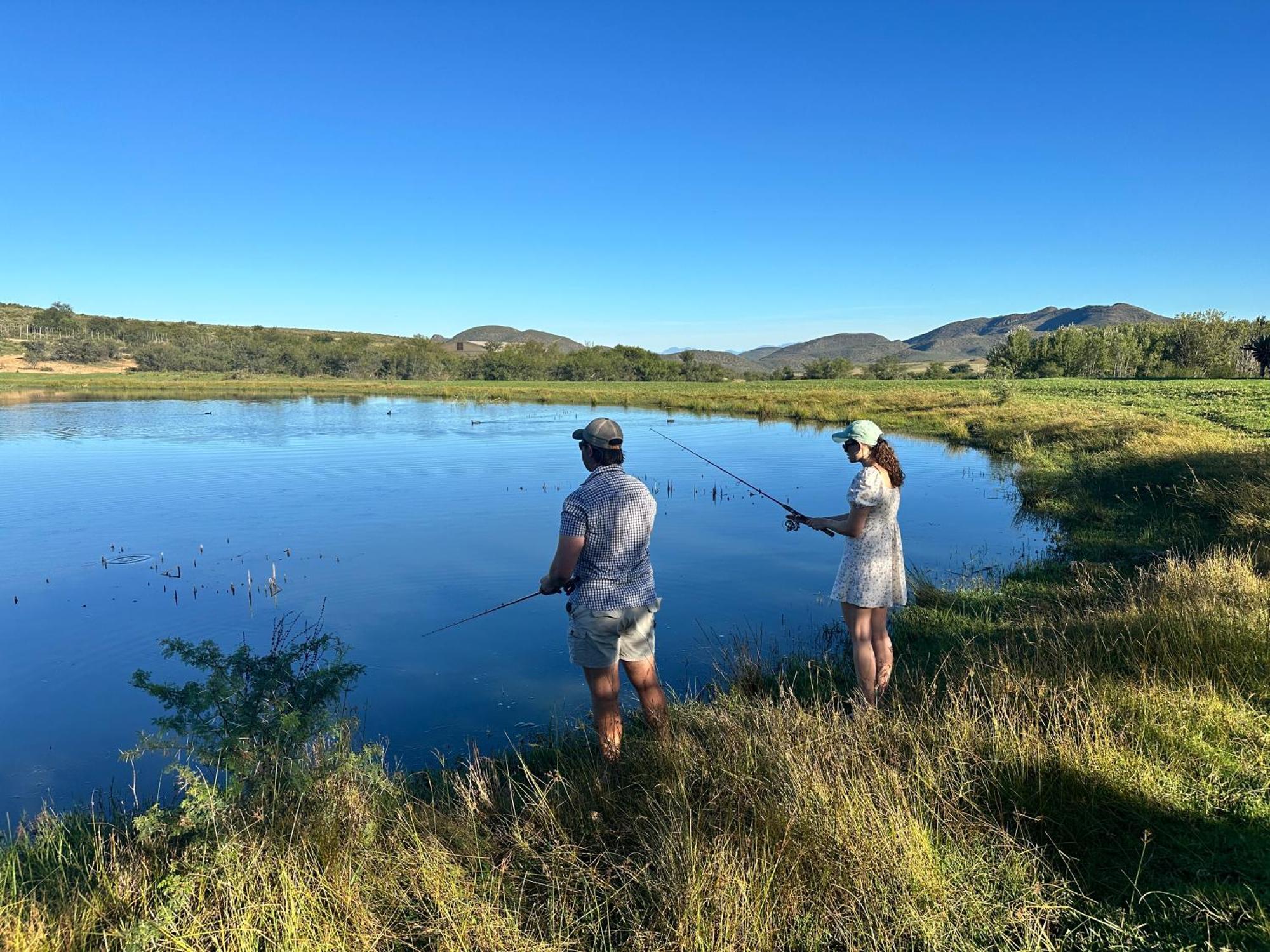 Swartberg Private Game Lodge 奥茨胡恩 外观 照片